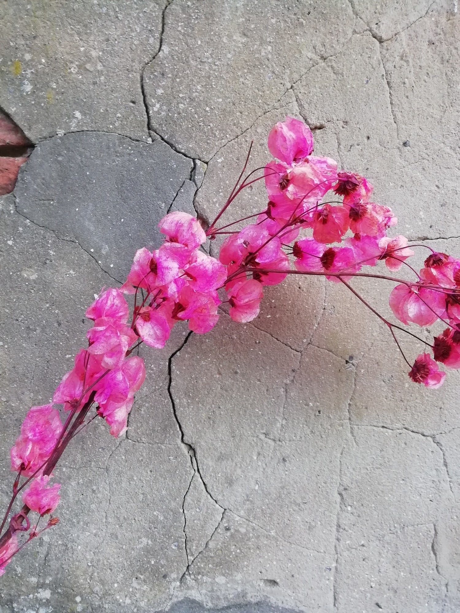 97b2f53a-05ff-465b-b190-91925de6eb0e-vrijstaandbeeld.jpg (6072173) 