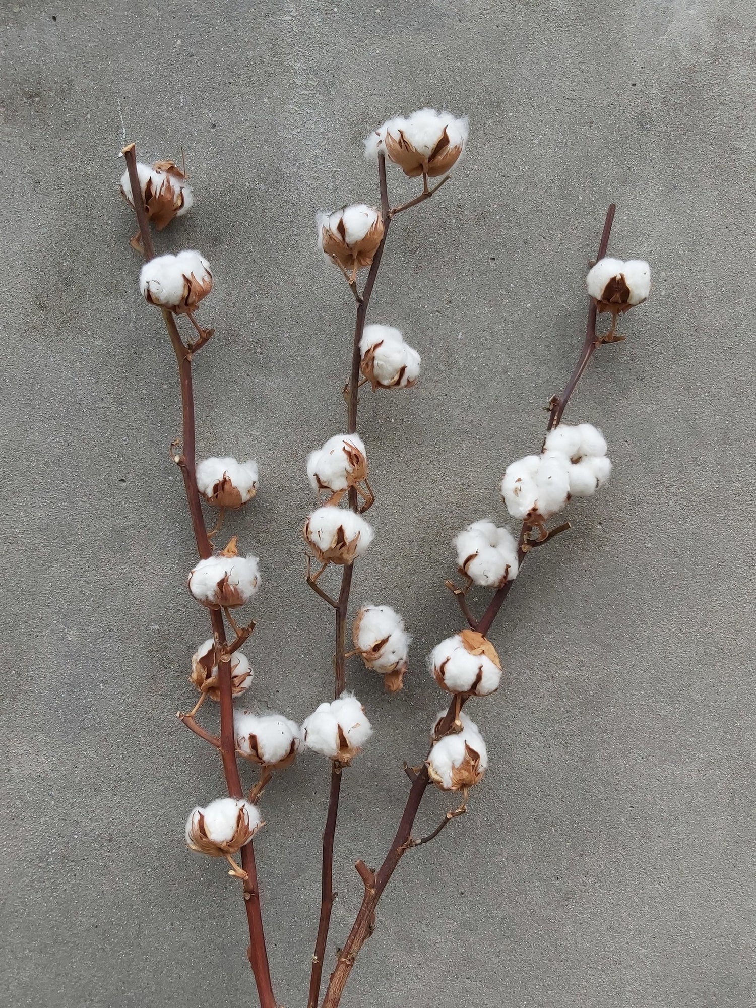 16a2de06-fbeb-471d-960b-7dff22ee5ee6-vrijstaandbeeld.jpg (6076984) 