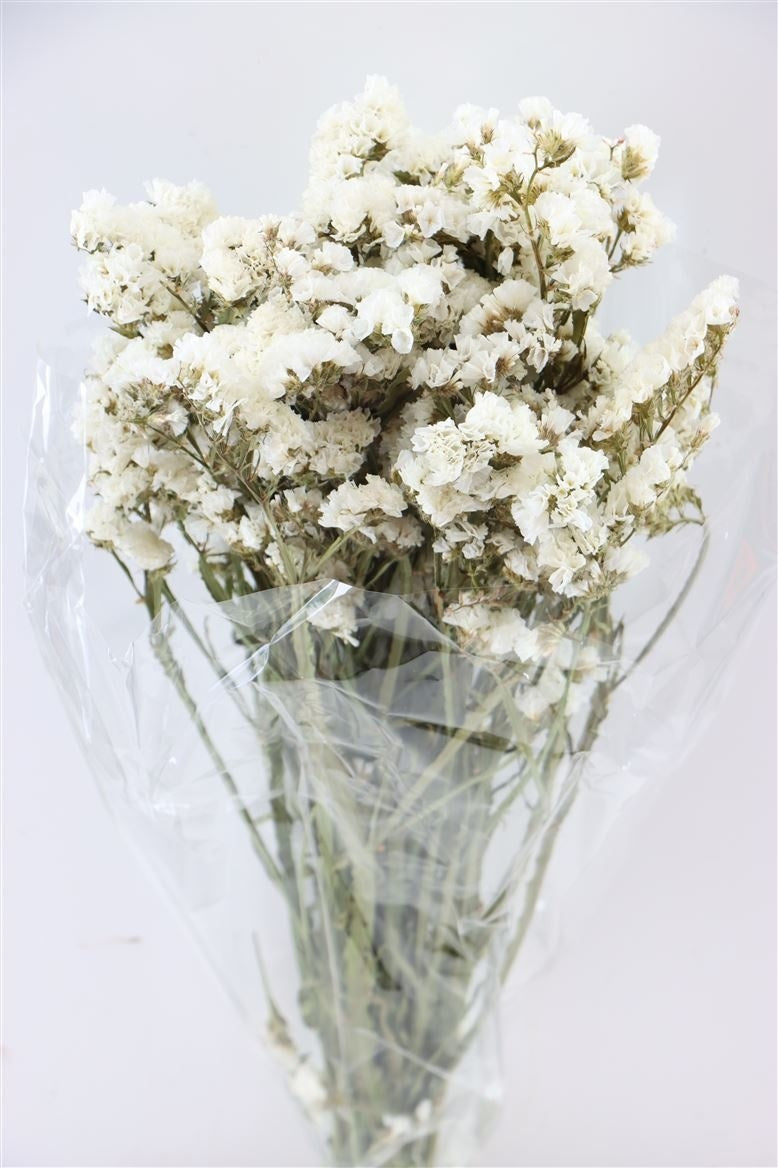 f3f47fc7-6494-4787-92b8-7694c524b6e3-vrijstaandbeeld.jpg (6077617) 