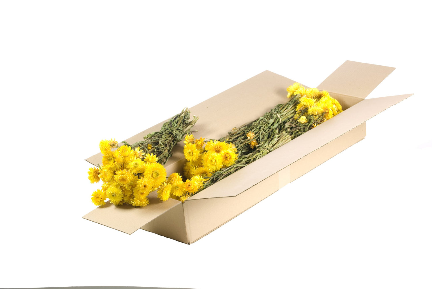 91f8376a-02b8-4e86-bb97-b8c8c32f1437-vrijstaandbeeld.jpg (6077941) 