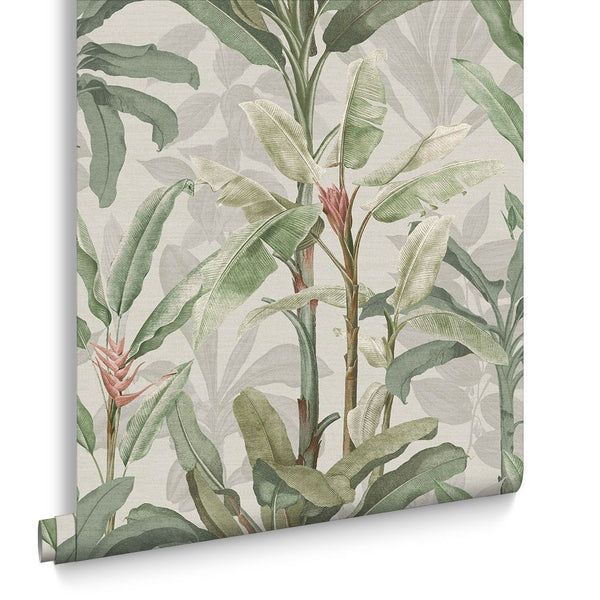 Graham & Brown - Vliesbehang - Borneo Powder - 10mx52cm