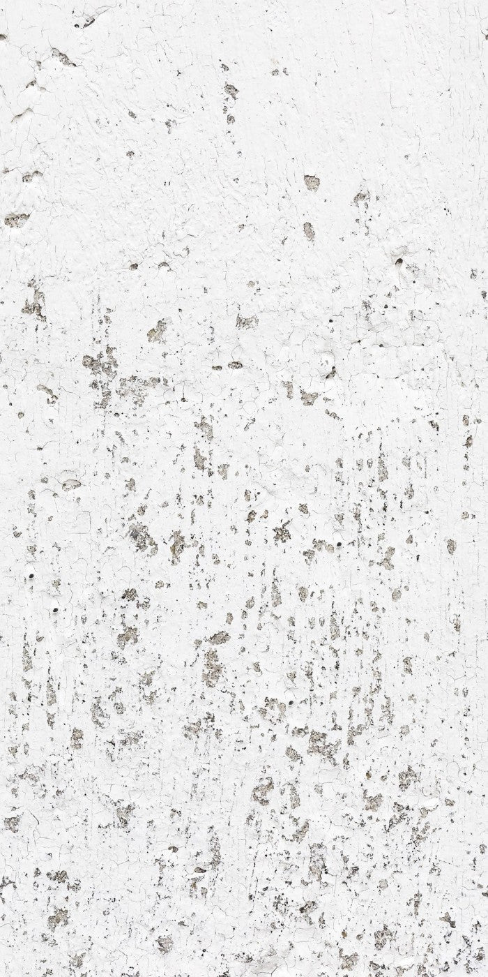 Art for the Home | Verweerde Muur Berlin - Fotobehang - 280x150 cm