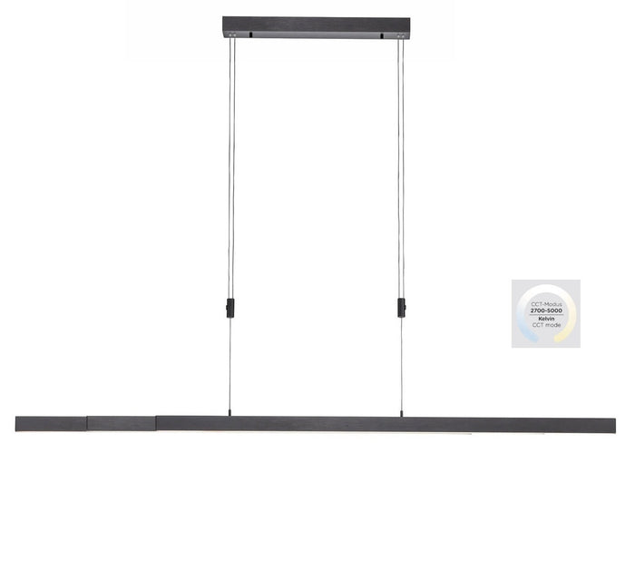 Paul Neuhaus Hanglamp Bacalia Antraciet L120-180cm
