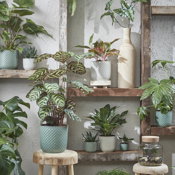 bd455668-d641-4f4f-8290-7f200ad3dc78-sfeerbeeld.jpg (6287494) 