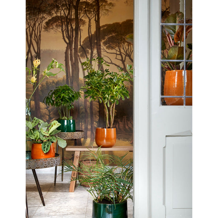 7cc85bd8-bd58-4ba3-8294-b68db2ca4656-sfeerbeeld.jpg (6287554) 