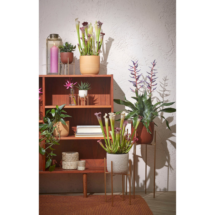 45357f54-3f38-4b8b-9888-f355f831a2a0-sfeerbeeld.jpg (6287945) 