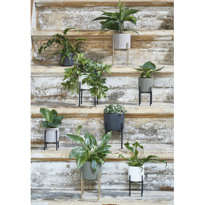 eb289ce4-90ea-4aa3-a92b-d11acba67ba2-sfeerbeeld.jpg (6288291) 