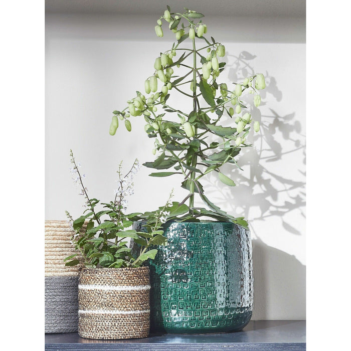 393bcb77-36ba-4057-ab2b-a2ae8febb5d2-afbeelding3.jpg (6289413) 