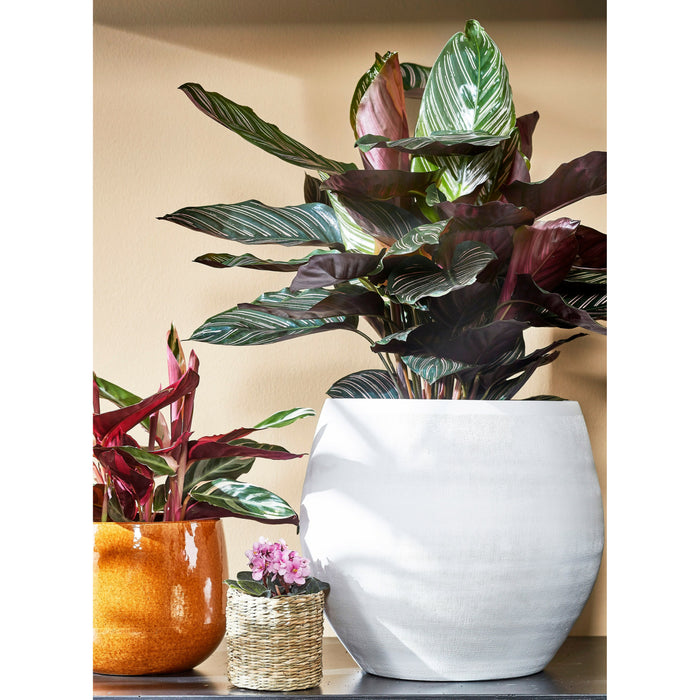 09b97d53-453c-4893-8448-41631e2a4bc4-afbeelding3.jpg (6289504) 