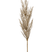 Fleurdirect Grass Pampas kunstplant