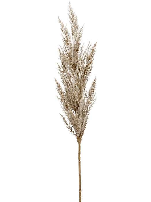 Fleurdirect Grass Pampas kunstplant