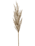 Fleurdirect Grass Pampas kunstplant