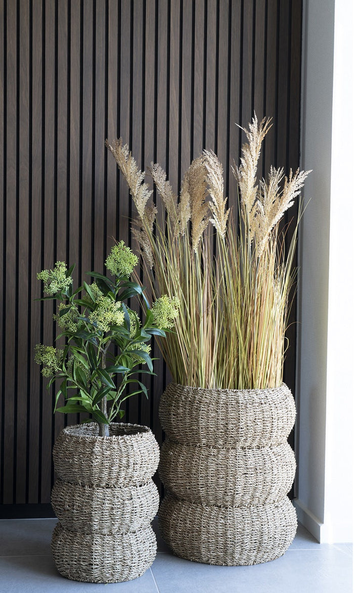 e0fd1932-b1ca-4ca3-8eac-baec7e03e1a9-sfeerbeeld.jpg (6331757) 