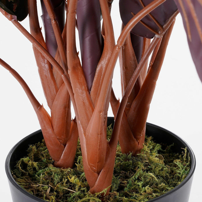 032e6c80-104d-4720-b10f-8bd01c85ac53-sfeerbeeld.jpg (6415355) 