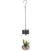 Orange85 Hanglamp met Plant Plafondlamp Zwart 16x16x22 cm Glas