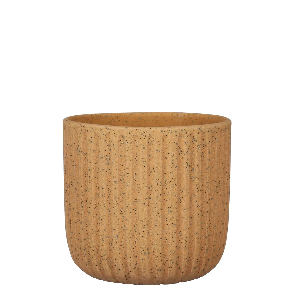 6fb1890c-4e15-402a-aff6-65d58bf0e569-vrijstaandbeeld.jpg (6670379) 