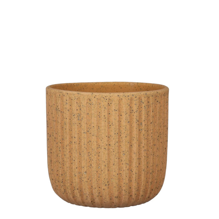 6fb1890c-4e15-402a-aff6-65d58bf0e569-vrijstaandbeeld.jpg (6670379) 