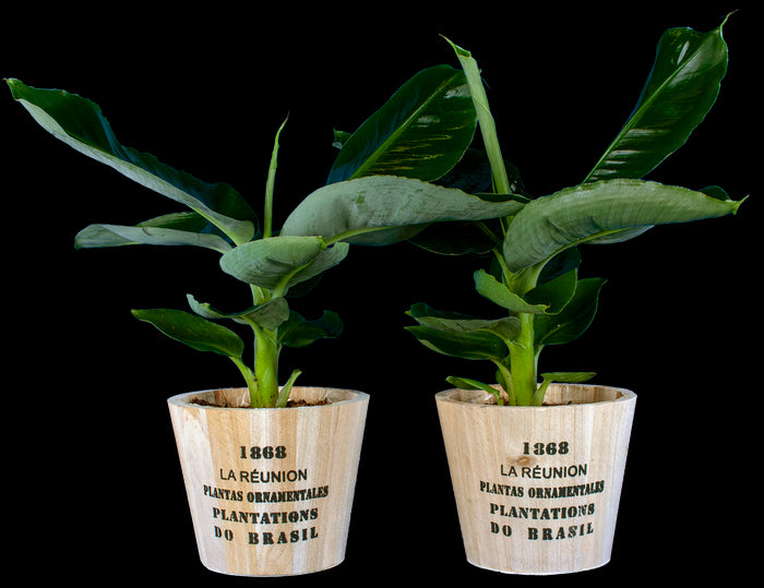 6d0f3eb5-7079-4a18-8890-1a12ce9abad3-vrijstaandbeeld.jpg (6692255) 