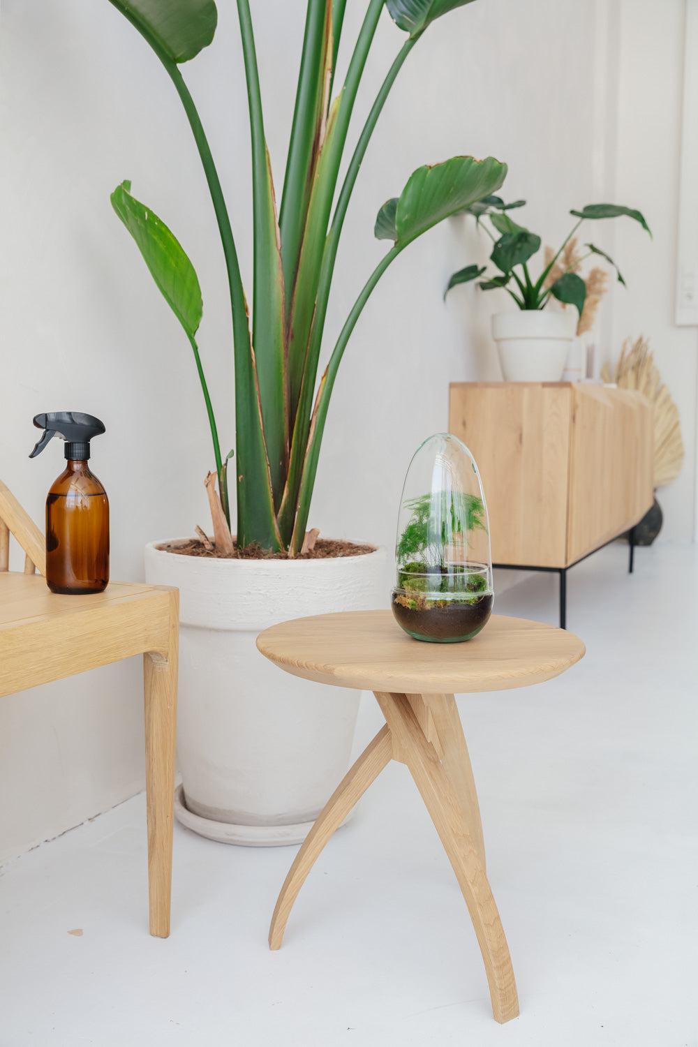 Egg Medium - Asparagus - ↑25cm | ø12cm