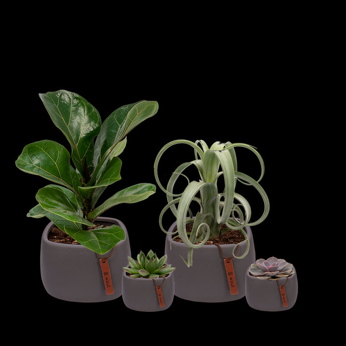 42d5ea03-dbb7-4a03-bab0-7e846c8c35cd-vrijstaandbeeld.jpg (6695393) 