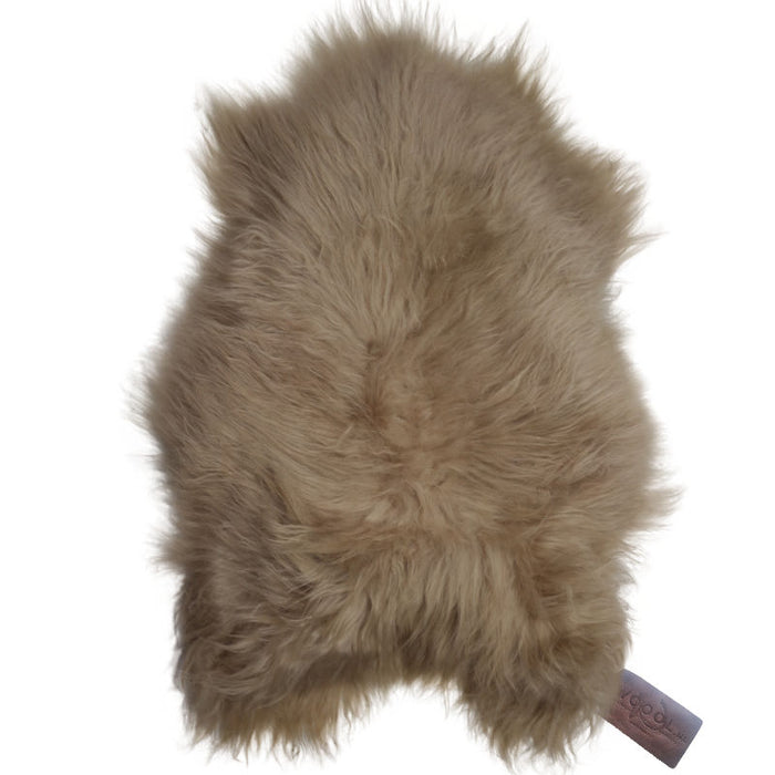 168dfe6b-78dd-4873-8bf6-1a851ef8fa16-vrijstaandbeeld.jpg (6702372) 