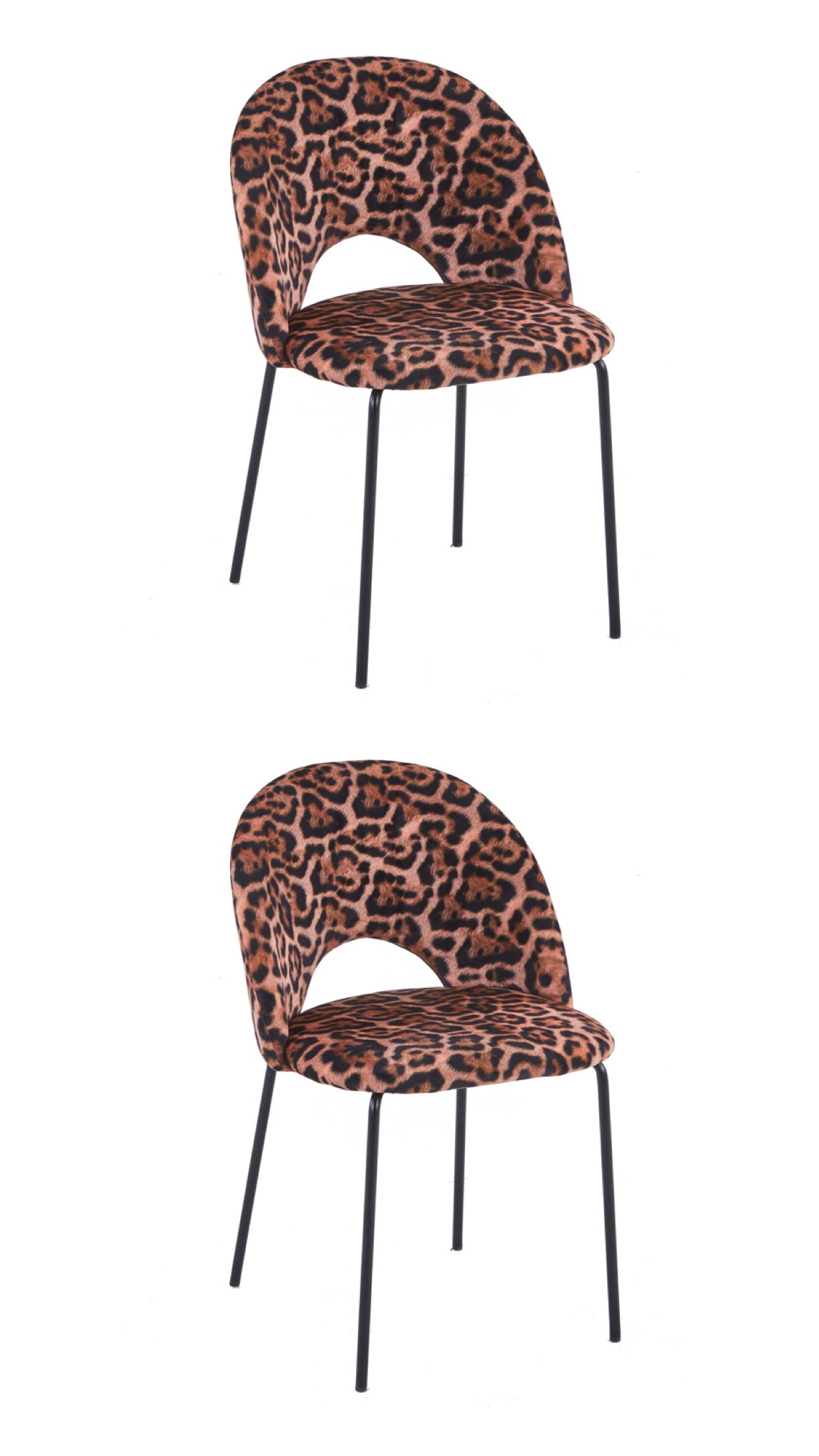 82c21fc7-3308-4329-a602-2fce3610c052-vrijstaandbeeld.jpg (6773397) 