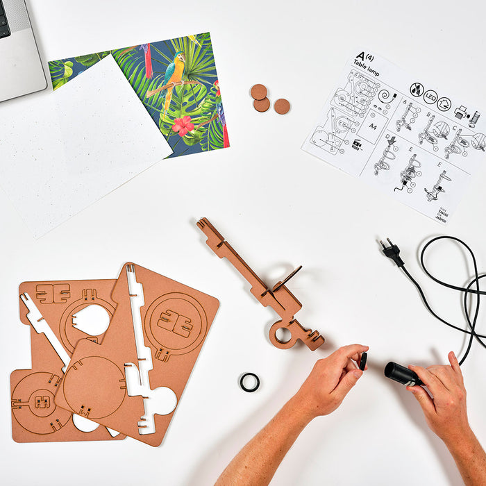 eeaec9ca-5000-410f-b120-7f7470a03d8c-afbeelding5.jpg (6817860) 