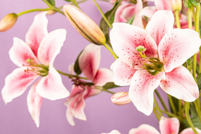 PTMD Lelie Kunstbloem - 115 x 30 x 114 cm  - Kunststof - Roze