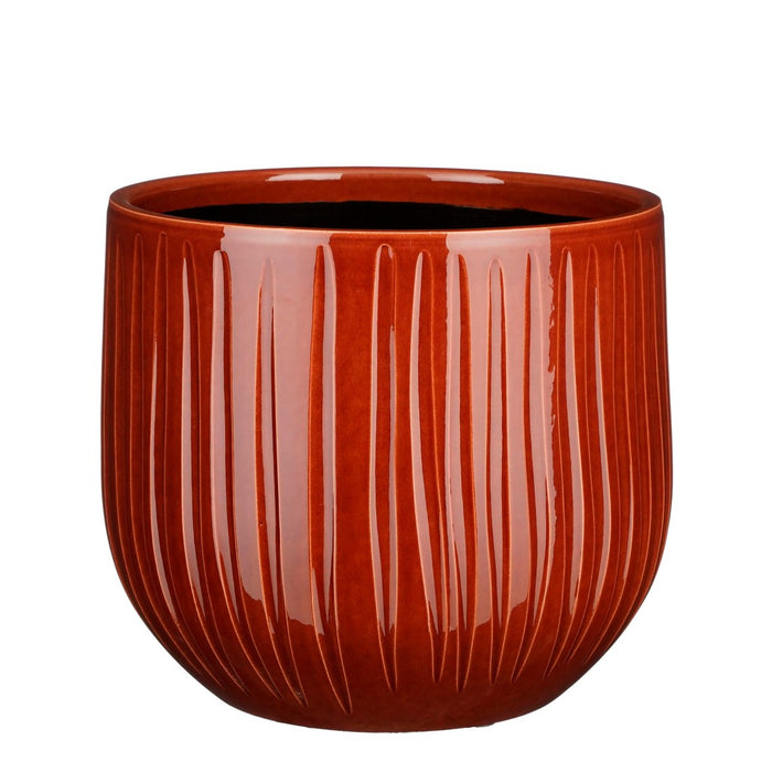 5bc9ef1b-0216-40df-b158-972d655735c0-vrijstaandbeeld.jpg (6906806) 