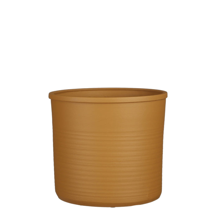 a376e135-f850-4c03-92d5-ff73106d419c-vrijstaandbeeld.jpg (6907400) 