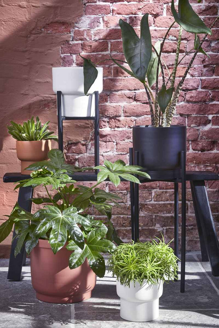 d0ae05e3-40da-400a-b66c-7fe77f42aa57-afbeelding4.jpg (6908282) 