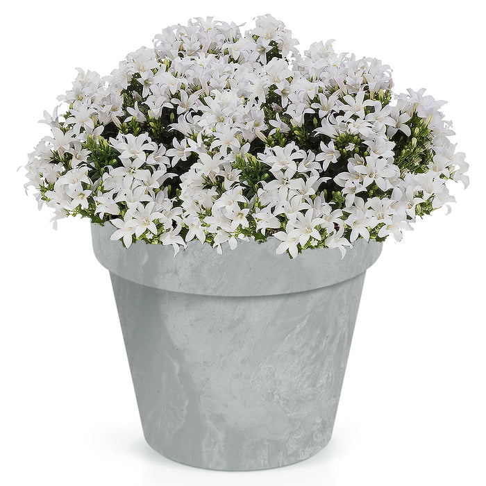 Prosperplast Bloempot - betonlook - lichtgrijs - kunststof - 40cm