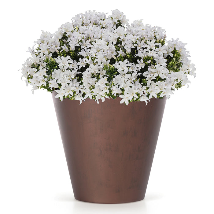 Prosperplast plantenpot - kunststof - brons - D30 x H28 cm