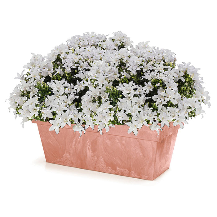 Prosperplast Plantenbak - kunststof - 59 x 26 x 23cm - terracotta