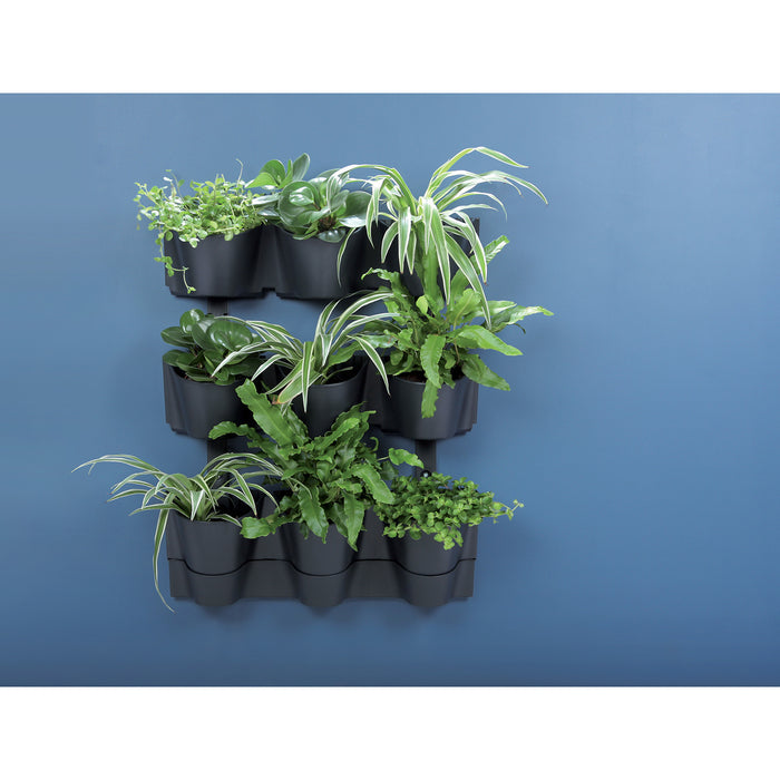 Prosperplast Plantenpotten - antraciet - L67 x B18 x H57cm