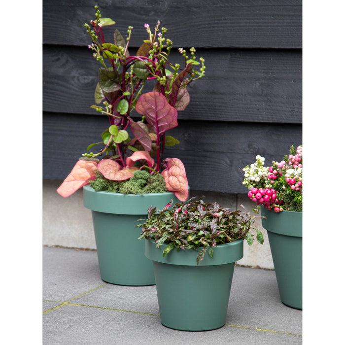 Mega Collections Plantenpot|bloempot - kunststof - groen - D25 cm