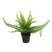Countryfield Kunstplant Varen Monilophyta in pot - Groen - 25 x 36 cm