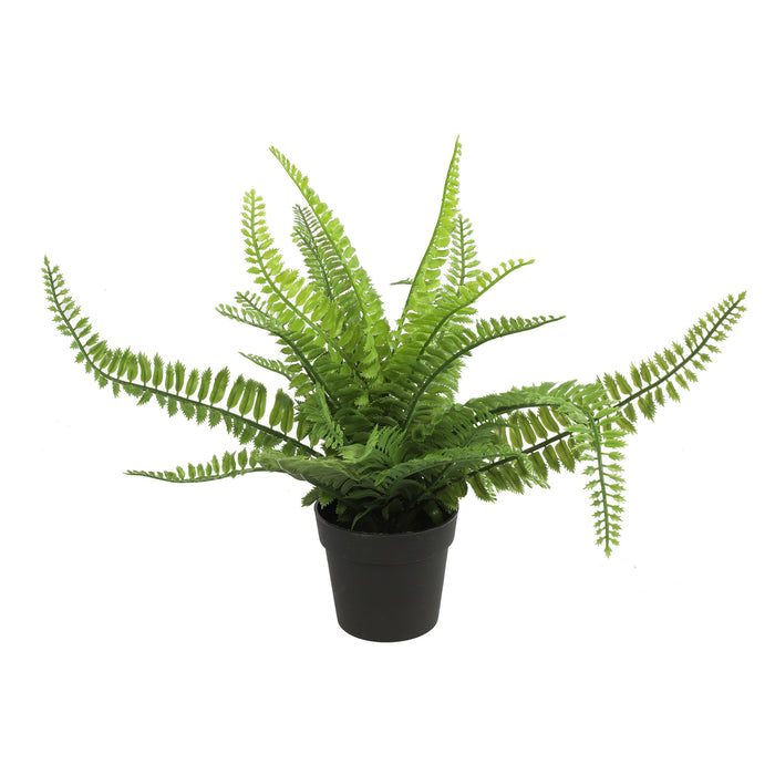 Countryfield Kunstplant Varen Monilophyta in pot - Groen - 25 x 36 cm