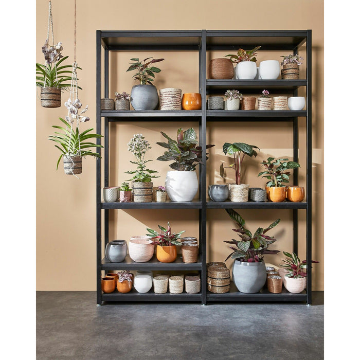 5ef76531-bb65-4d64-a9ce-4893133739dd-afbeelding3.jpg (6970181) 