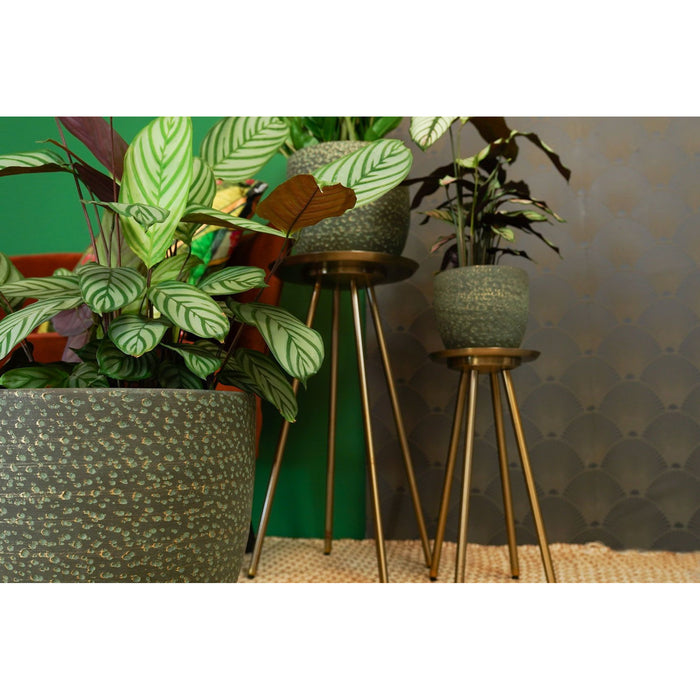 Ter Steege Plantenpot|bloempot Lava Stone - groen - D17 x H15 cm