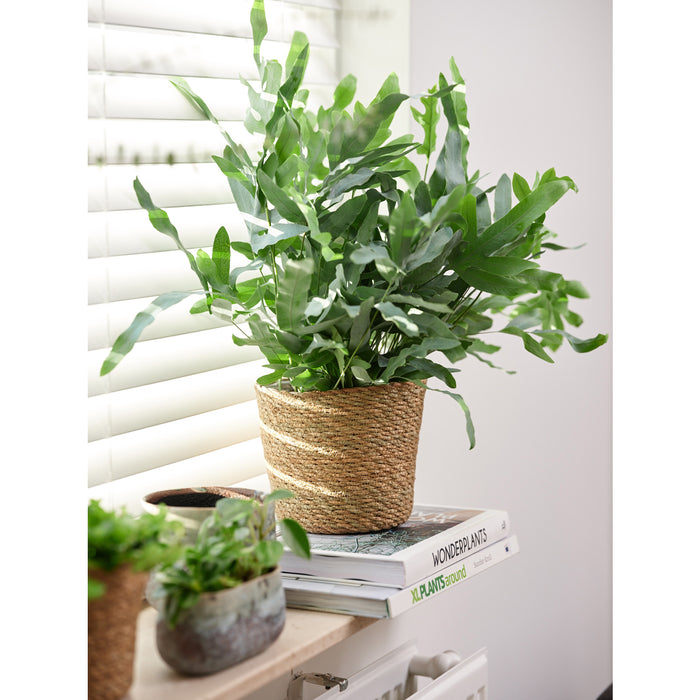 d838c39d-e0cd-4bab-beba-376711dc7293-sfeerbeeld.jpg (6971725) 