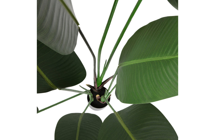 Woood Strelitzia Kunstplant Groen 164 cm