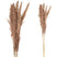 PTMD Dried Twig Pampas Gras - 75 x 7 x 117 cm - 8 stuks - Koper