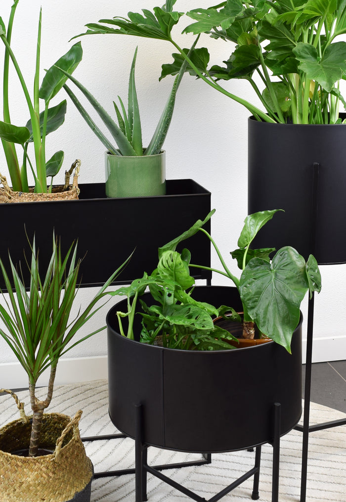 LOFT42 Flora Plantenbak Rond - Metaal - Mat Zwart -  Ø40
