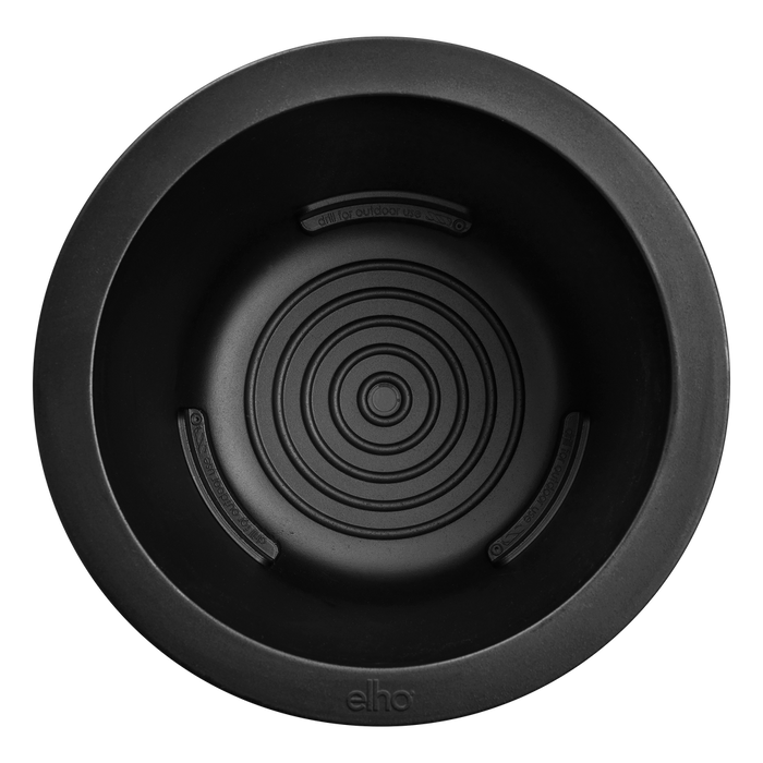 Green Bubble - Strelitzia Reginae + elho Pure Coupe zwart Ø41 - 190 cm