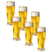 Hertog Jan Pilsener Bierglazen 25cl - 6 - Bier Glas