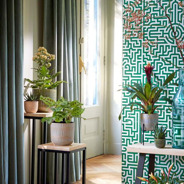 b0ce109b-b518-4dec-a5c5-eccd33329ea1-afbeelding5.jpg (7298541) 