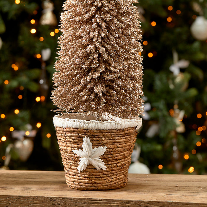 8150b6d2-4ab8-4d1e-b414-2bd3062de044-afbeelding5.jpg (7384339) 