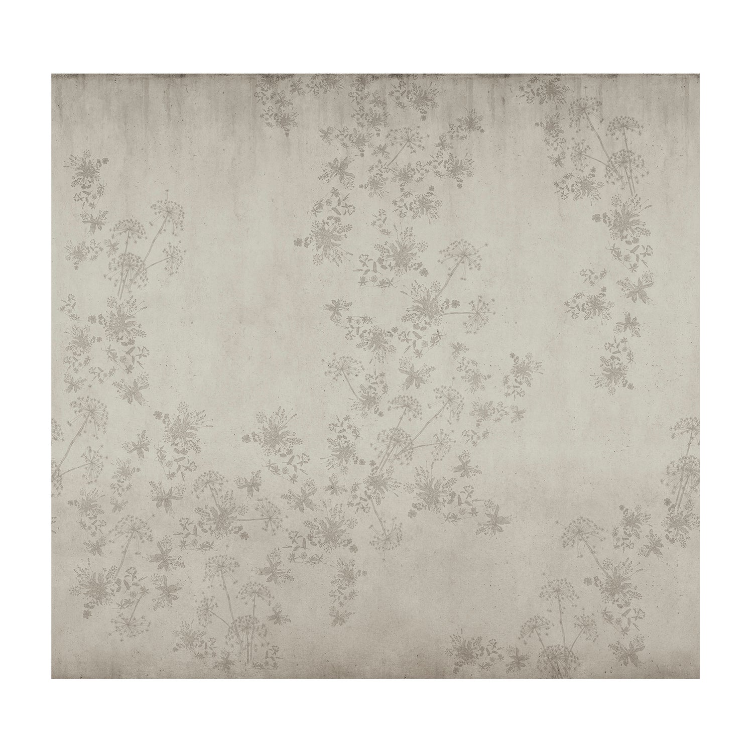 vtwonen Fotobehang - Wild Flower Concrete - 280x300cm