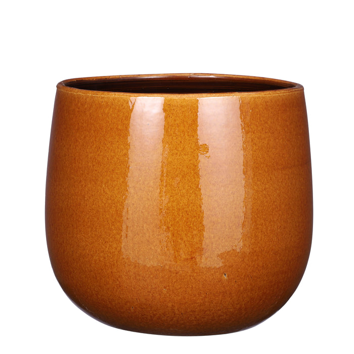 8176190f-4dd7-4599-9b65-499cbfb65501-vrijstaandbeeld.jpg (7451277) 